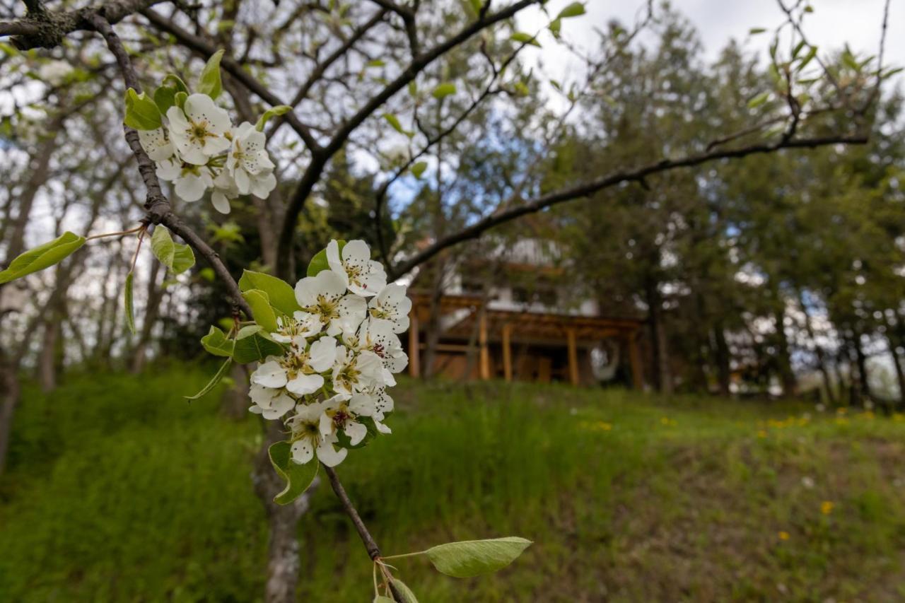 Egercottages - Csillag Cottage المظهر الخارجي الصورة