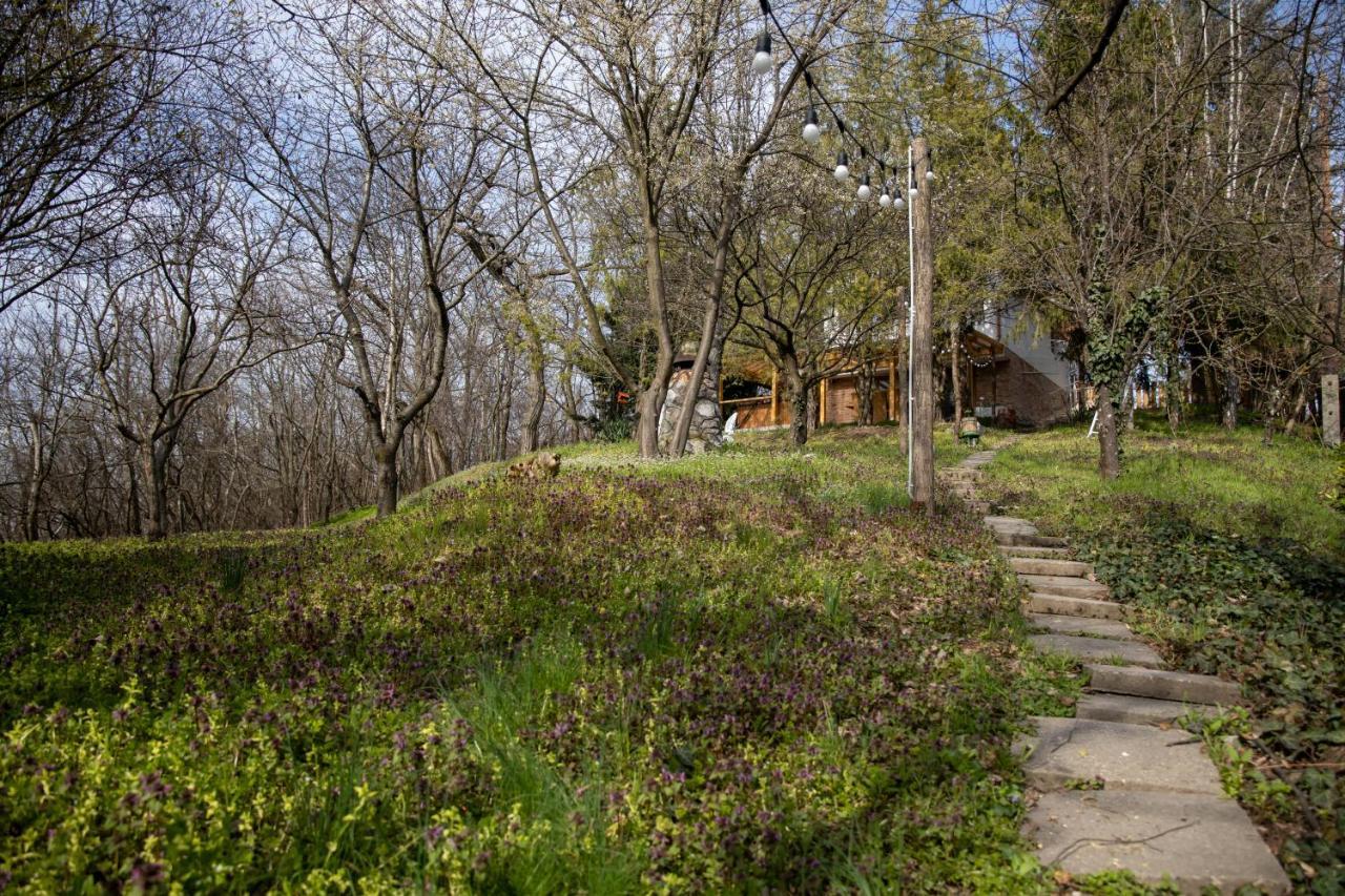 Egercottages - Csillag Cottage المظهر الخارجي الصورة